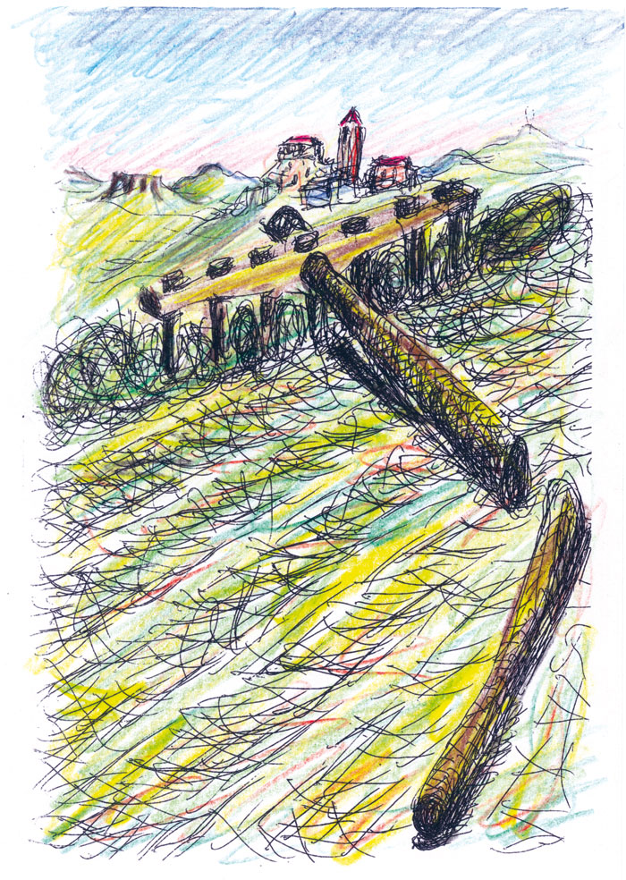 Il-pettine-dei-prati